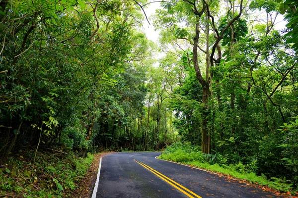 Strada per Hana attraverso la foresta pluviale tropicale — Foto Stock