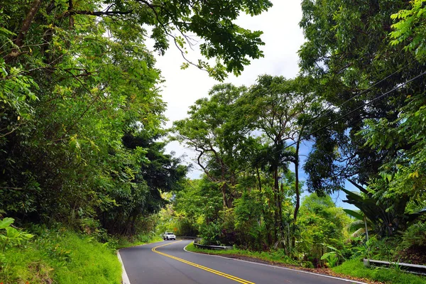 Estrada para Hana através da floresta tropical — Fotografia de Stock