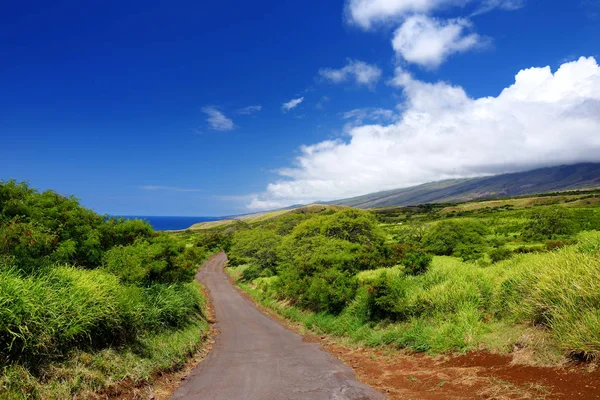 Krásná krajina jižní Maui — Stock fotografie