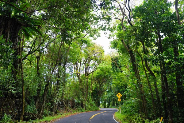 Weg zum Hana durch tropischen Regenwald — Stockfoto