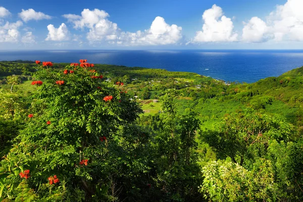 Maui Północne Wybrzeże — Zdjęcie stockowe