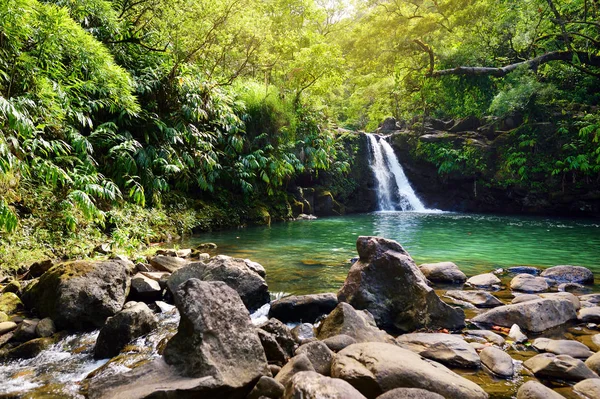 Lagere Waikamoi Falls — Stockfoto