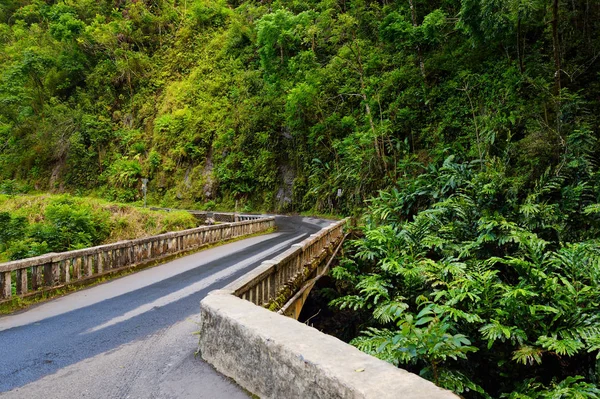 Road to Hana through tropical rainforest — Stock Photo, Image