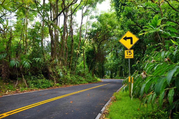 Road to Hana through tropical rainforest — Stock Photo, Image