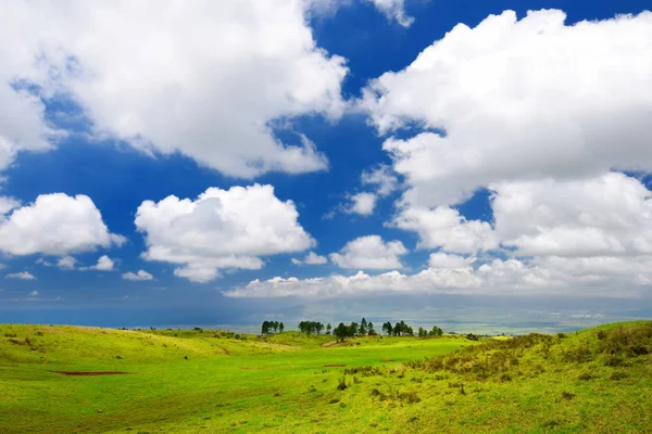 Мауи ландшафт с зелеными полями — стоковое фото