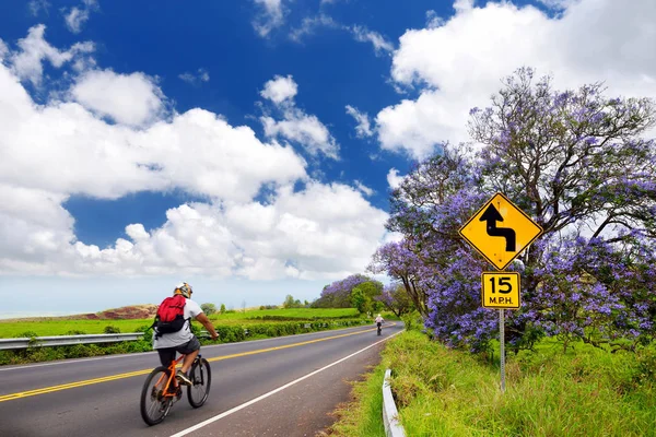 Cyklistické, turistické a strom jacaranda — Stock fotografie