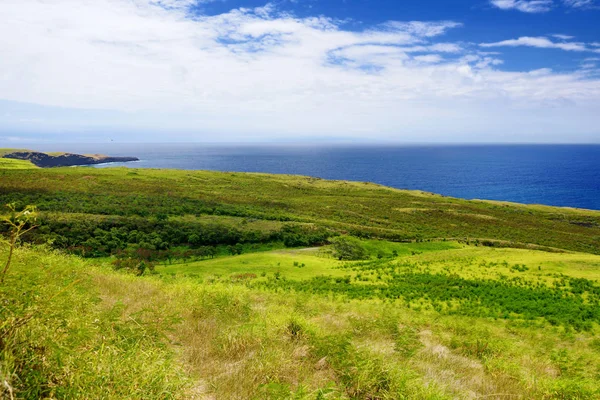 Paesaggio Maui con campi verdi — Foto Stock