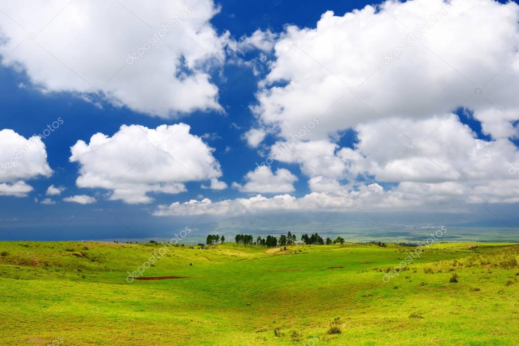 Maui landscape with green fields