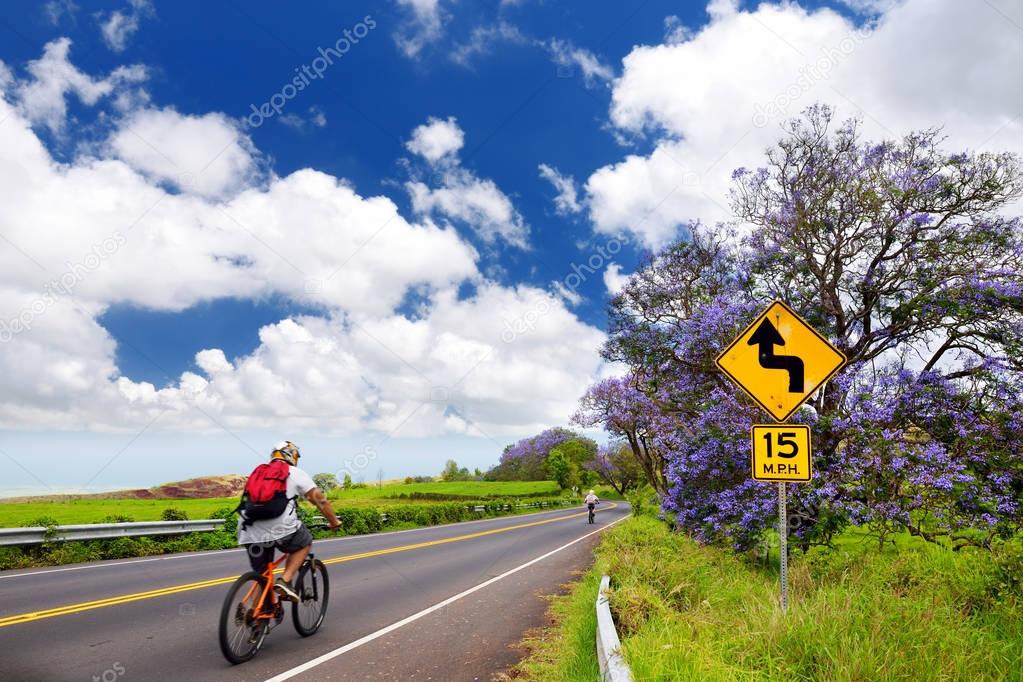 cycling tourist and jacaranda tree 