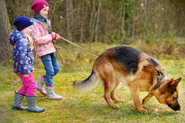 Sisters walking german shepherd dog — Stock Photo, Image