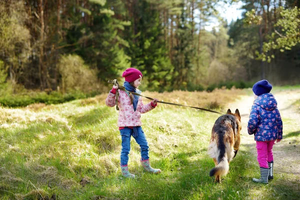 Sœurs promenant chien berger allemand — Photo