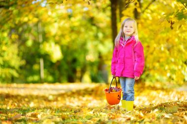 Sarı sonbahar yaprakları toplama çocuk