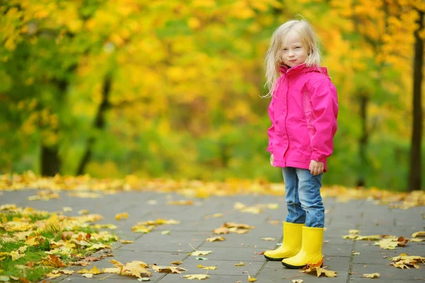 Meisje permanent op weg in de herfst park — Stockfoto