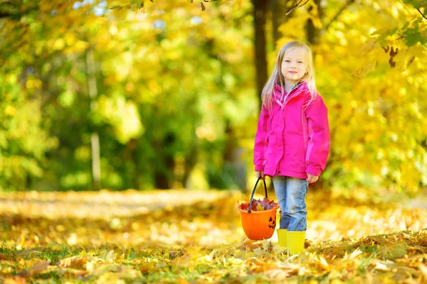 Малюк збирає жовте осіннє листя — стокове фото
