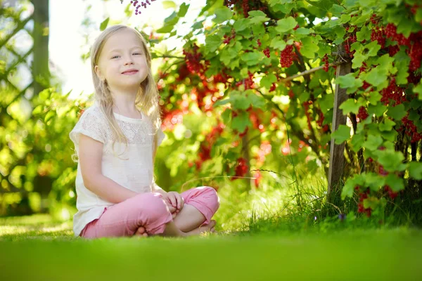 Meisje zit in de buurt van bush van rode aalbessen — Stockfoto