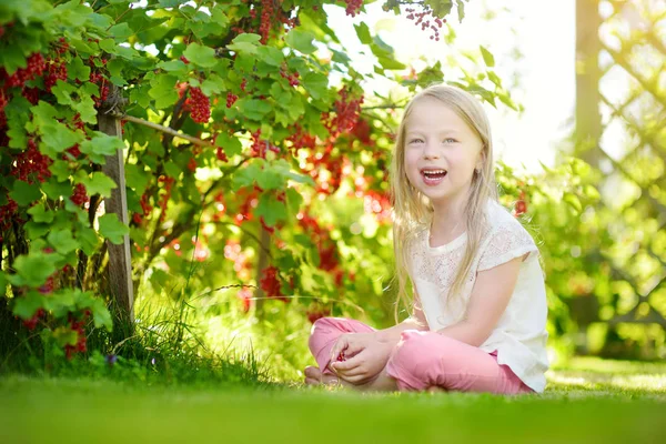 Schattig klein meisje plukken rode aalbessen — Stockfoto