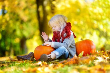 kabak yama üzerinde eğleniyor kız 