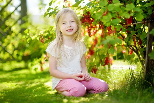 Schattig klein meisje plukken rode aalbessen — Stockfoto