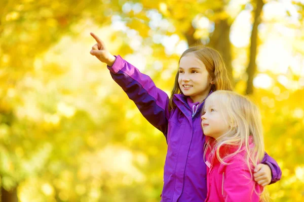 Little sisters spelar i höstens park — Stockfoto