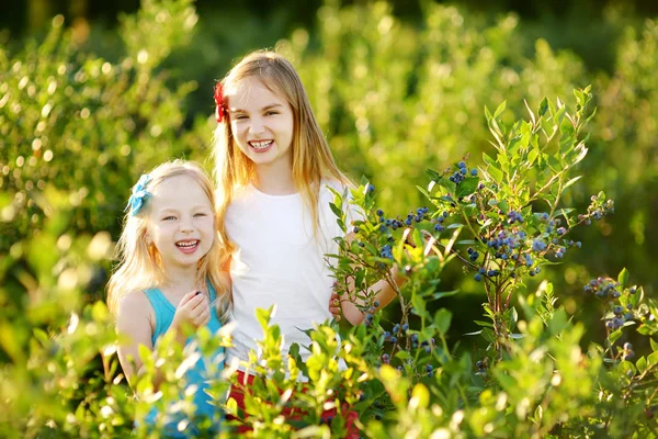 Little sisters picking berries on farm — Stock Photo, Image