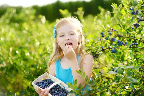 Menina colhendo bagas na fazenda — Fotografia de Stock