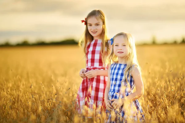 Маленькие сёстры ходят по пшенице — стоковое фото