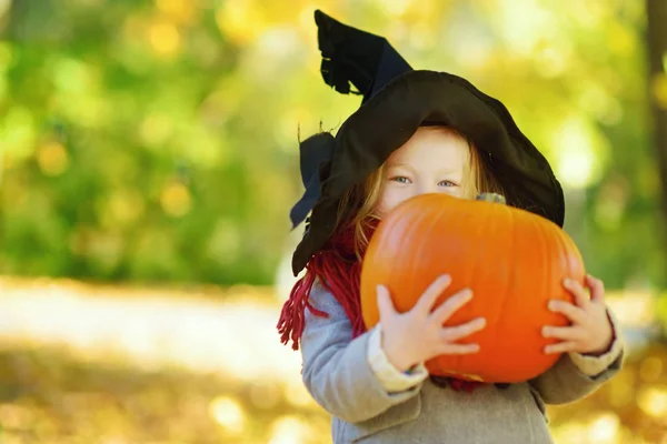 Girl in halloween costume with pumpkin Stock Photo