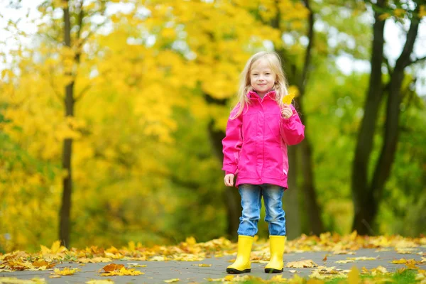 Klein meisje in de herfst park — Stockfoto