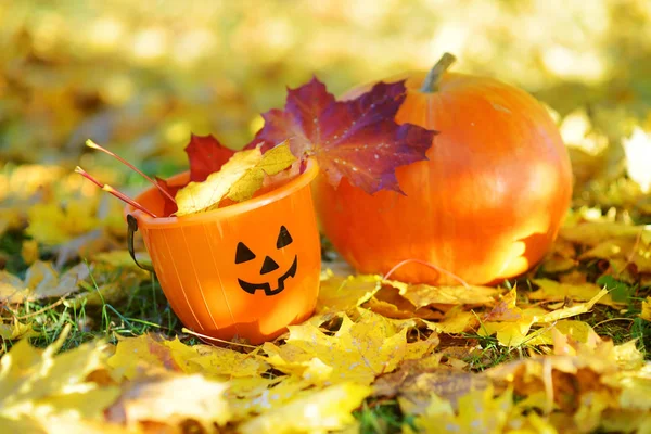 Pumpa och Halloween hink på höstlöv — Stockfoto