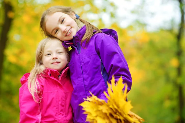 Little sisters spelar med höstlöv — Stockfoto