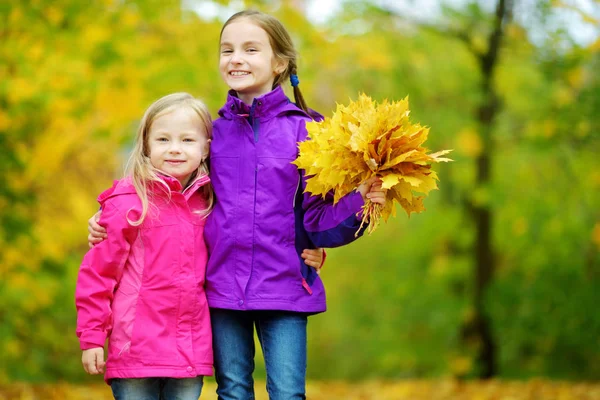 küçük kız sonbahar yaprakları ile oynamak 