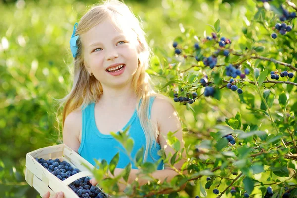 Маленькая девочка собирает ягоды на ферме — стоковое фото