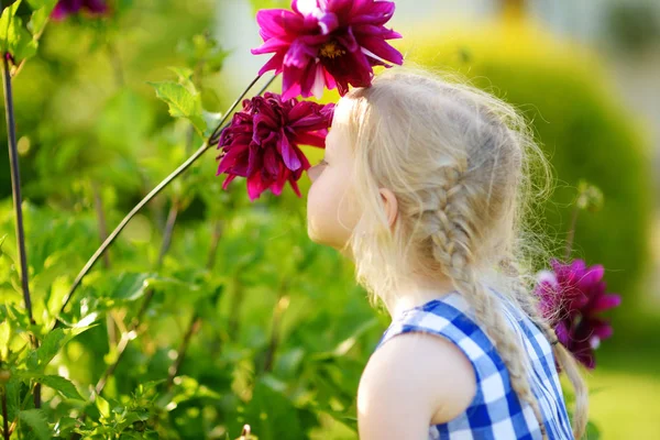 Little girl sniffing at purple flowers — Stock Photo, Image