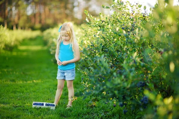 Kleines Mädchen pflückt Beeren auf Bauernhof — Stockfoto