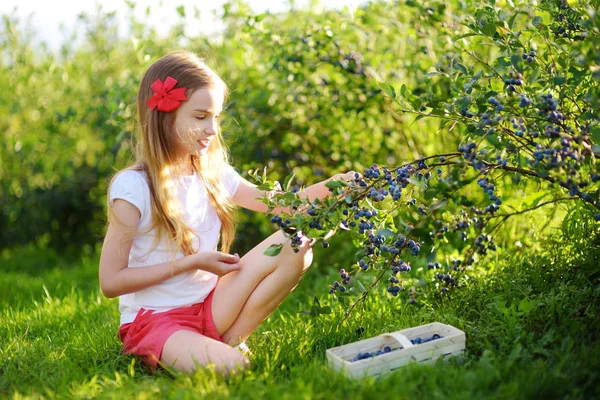 Маленька дівчинка збирає ягоди на фермі — стокове фото