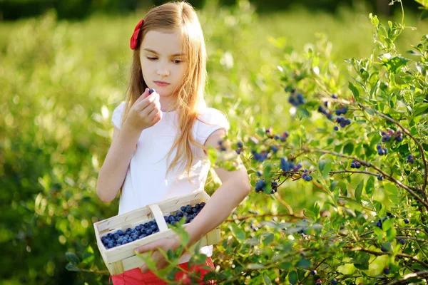 Little girl picking berries on farm — Stock Photo, Image