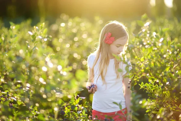 Meisje bessen plukken op boerderij — Stockfoto