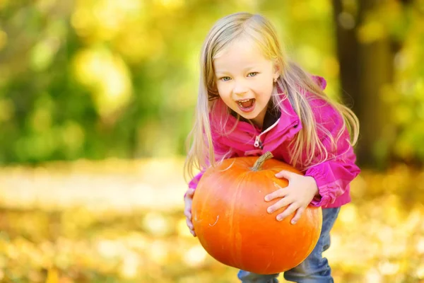 küçük kız kabak ile eğleniyor