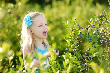 küçük kız çiftlikte çilek toplama