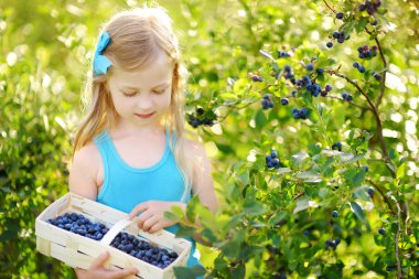 küçük kız çiftlikte çilek toplama