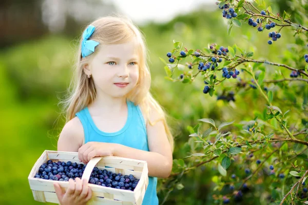 Menina colhendo bagas na fazenda — Fotografia de Stock