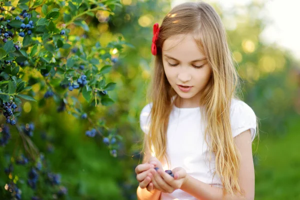 Gadis kecil memetik buah di peternakan — Stok Foto