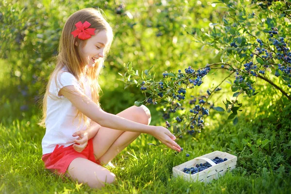 Kleines Mädchen pflückt Beeren auf Bauernhof — Stockfoto