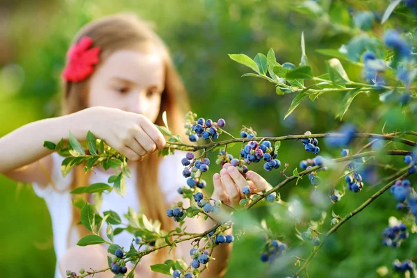 Kleines Mädchen pflückt Beeren auf Bauernhof — Stockfoto