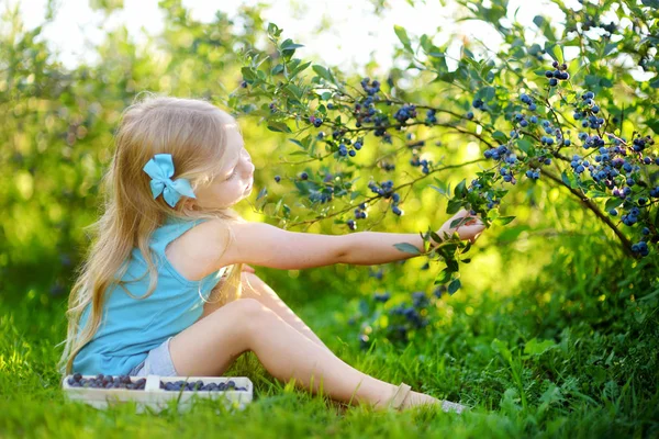 Kleines Mädchen pflückt Beeren auf Bauernhof — Stockfoto