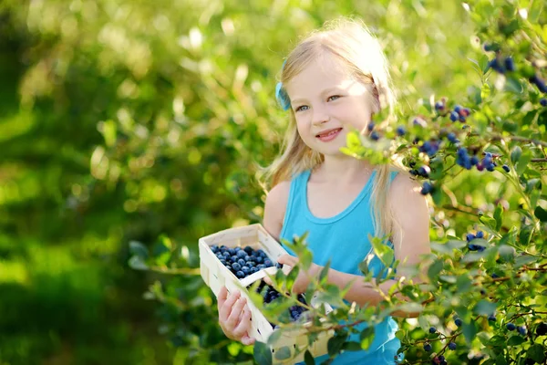 küçük kız çiftlikte çilek toplama
