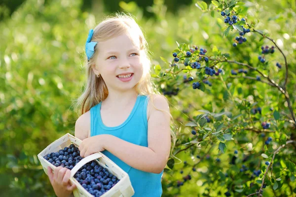 Niña recogiendo bayas en la granja —  Fotos de Stock