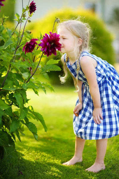 Liten flicka sniffa på lila blommor — Stockfoto