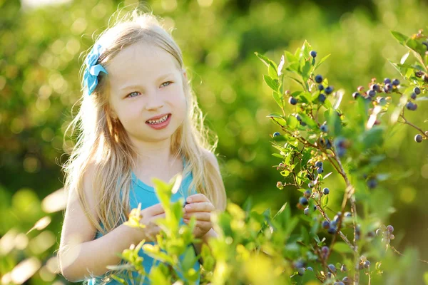 Mała dziewczynka zbieranie jagód na farmie — Zdjęcie stockowe