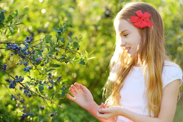 Маленькая девочка собирает ягоды на ферме — стоковое фото